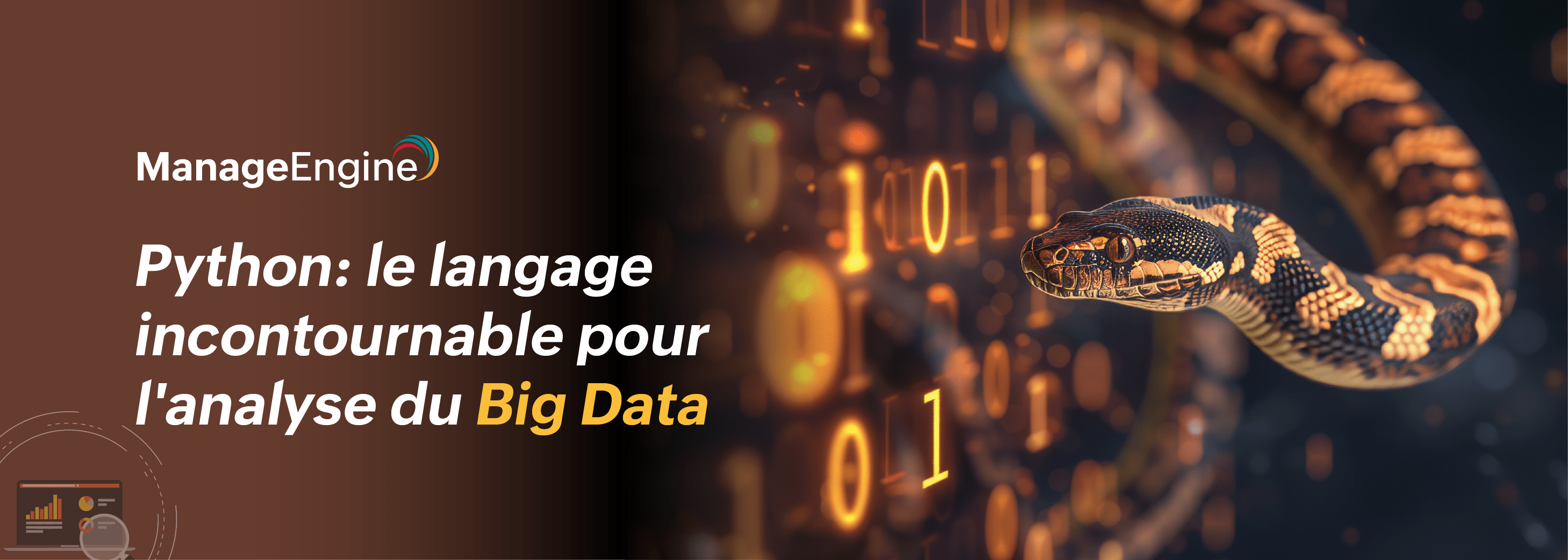 Python dans l'Analyse du Big Data : Simplicité, Performance et ...
