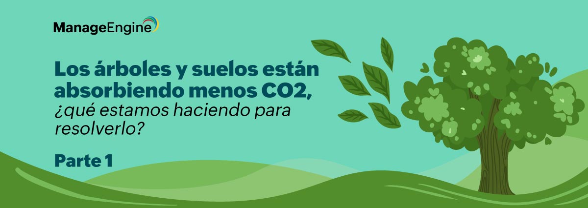 Los árboles y suelos están absorbiendo menos CO2, ¿qué estamos haciendo para resolverlo? (parte 1)