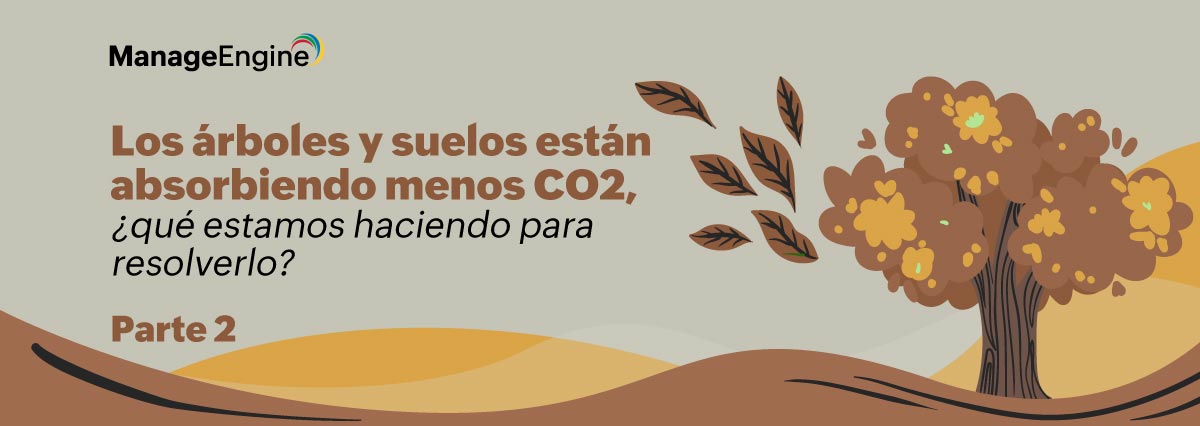 Los árboles y suelos están absorbiendo menos CO2, ¿qué estamos haciendo para resolverlo? (parte 2)