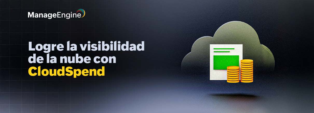 Lograr una visibilidad de la nube con el informe de categorías de costos de CloudSpend